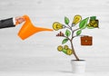 Drawn income tree in white pot for business investment savings and making money