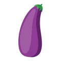Drawn isolated eggplant of Violet color in minimalist style