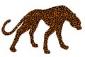 Drawn jaguar, leopard, wild cat, panther coloured silhouette