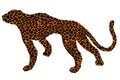 Drawn jaguar, leopard, wild cat, panther coloured silhouette