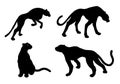 Drawn jaguar, leopard, wild cat, panther silhouettes Royalty Free Stock Photo