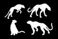 Drawn jaguar, leopard, wild cat, panther silhouettes Royalty Free Stock Photo