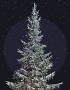 Drawn large snow covered fir tree on a dark background with snowfall