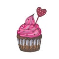 Drawn with markers chocolate cupcake with pink cream isolated on white background