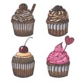 Drawn with markers set of four chocolate cupcakes isolated on white background Royalty Free Stock Photo