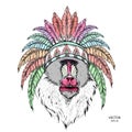 Drawn monkey. Mandrill in a Native American Indian chief. Red and black roach. Indian feather headdress of eagle. Vector illustrat