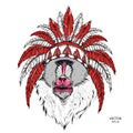 Drawn monkey. Mandrill in a Native American Indian chief. Red and black roach. Indian feather headdress of eagle. Vector illustrat Royalty Free Stock Photo
