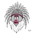 Drawn monkey. Mandrill in a Native American Indian chief. Red and black roach. Indian feather headdress of eagle. Vector illustrat Royalty Free Stock Photo