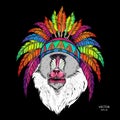 Drawn monkey. Mandrill in a Native American Indian chief. Red and black roach. Indian feather headdress of eagle. Vector illustrat Royalty Free Stock Photo