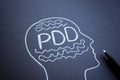 Drawn outline of a head and the abbreviation PDD Persistent Depressive Disorder. Royalty Free Stock Photo