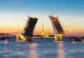 Drawn Palace Bridge and Peter and Paul Fortress at white night, St. Petersburg, Russia