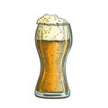 Drawn Standard Pub Glass Color Foam Beer Vector
