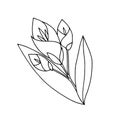 Drawn stylized three tulips.