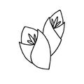 Drawn stylized tulip buds.