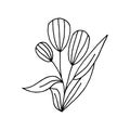 Drawn stylized tulips with leaves.