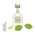 Drawn tequila bottle with sambrero hat, lime. Royalty Free Stock Photo