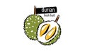 Drawn vector durian on a white background