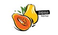 Drawn vector papaya on a white background