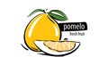 Drawn vector pomelo on a white background