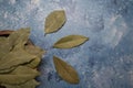 Dray Laurus nobilis Leafs in a wooden plate ,blue painted background