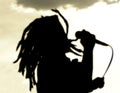 Dreadlock singer silhouette at sunset