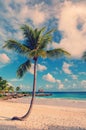 Dream beach with palm tree over the sand. Vintage Royalty Free Stock Photo