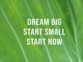 Dream big. Start small. Start now. Business action concept and sign with inspirational motivational quote on green leaf background