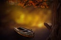Dream Boat tree with bokeh background in woods Royalty Free Stock Photo
