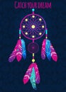 Dream catcher with abstract feathers in ethnic style