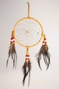 Dream Catcher