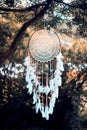 Dream catcher, spiritual traditional amulet, shaman. Boho