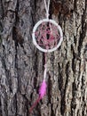 Dream catcher white with pink feathers on a background of tree bark. Dreamcatcher sunset, mountains, boho-chic, ethnic amulet,