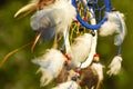 Dream catchers evolve in the wind, against a blurred green background of plants with copy space, symbol, tradition