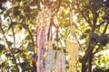 Dream catchers hanging in the garden on sunset