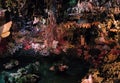 Dream flight ride at theme park The Efteling, Kaatsheuvel, The Netherlands. miniature fairy tale forest Royalty Free Stock Photo