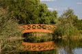 Dream golden wooden bridge