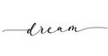 Dream inspirational lettering banner with swashes. Monoline calligraphy Motivational design template.Hand Drawn brush design