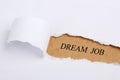 Dream Job Royalty Free Stock Photo