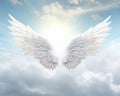 Dream like realistic angel wings background with a white wing of a bird
