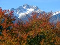 This dream mountain is in the Tyrolean Oberland and is called `the High Riffler` Royalty Free Stock Photo