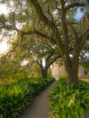 Dream place in the beautiful City Park of New Orleans