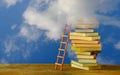 The dream of proper Education,books, ladder of success leading to a cloudy sky. Learning,knowledge,humanism. personal development