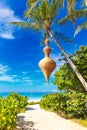 Dream scene. Beautiful palm tree over white sand beach. Summer n Royalty Free Stock Photo