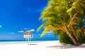 Dream scene. Beautiful palm tree over white sand beach. Summer n Royalty Free Stock Photo