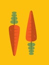 Bright orange carrot with green leaf icon isolated, organic food, fresh vegetable, vector illustration
