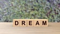 Dream word wooden cubes on table vertical over blur background with climbing green leaves, mock up, template, personal emotions,