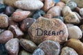 Dream Written on a Rock