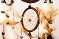 Dreamcatcher