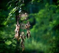 Dreamcatcher, american native amulet in forest. Shaman