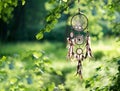 Dreamcatcher, american native amulet in forest. Shaman